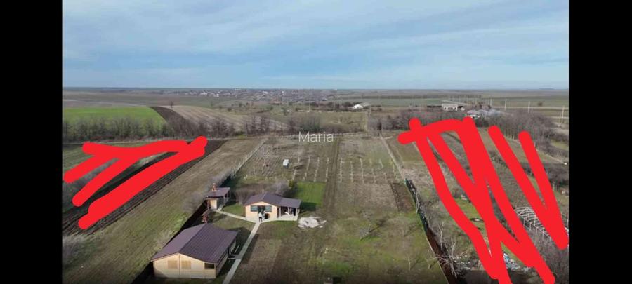 Oferta! Vând domeniu unicat (1 Ha) cu casă și livadă – Drăghiceanu, Giurgiu | Op - 7