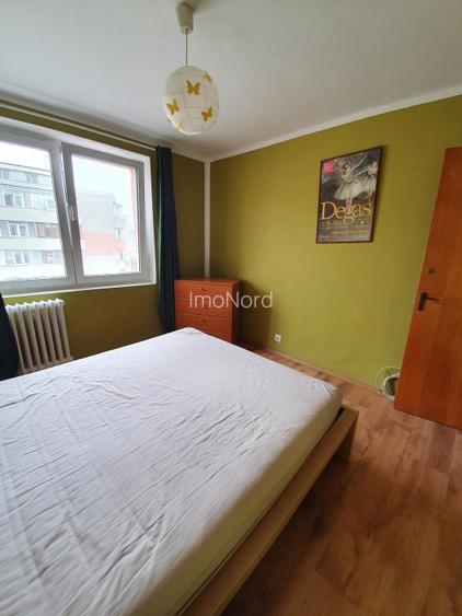Inchiriere 2 camere Teiul Doamnei - 10