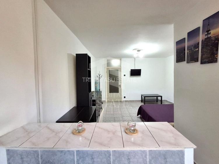 De Vânzare Garsoniera zona Teiul Doamnei Colentina Tei - 2