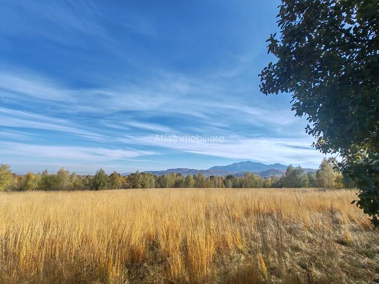 5.800 mp extravilan, Sohodol-Bran, retreat, cabane, off-grid ecoturism, panorama - 10