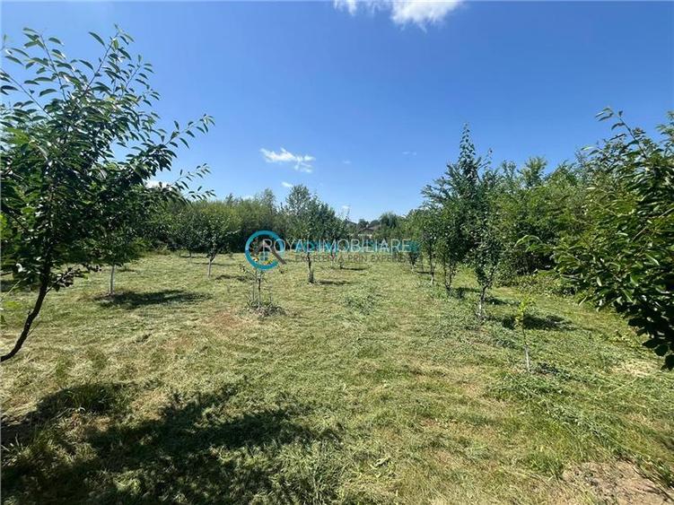 Royal Imobiliare-Vanzare Vila Zona Romanesti - 27