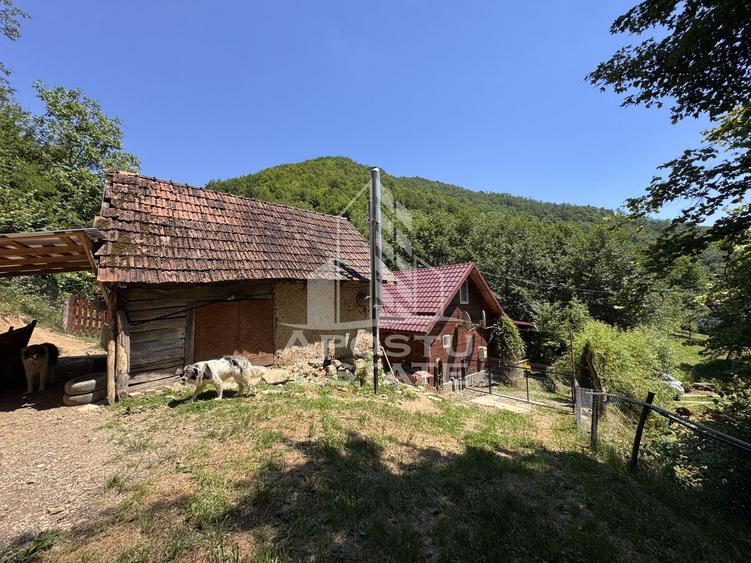 Casa din lemn, zona muntoasa, cu rau, la cheie, Ribita, Hunedoara