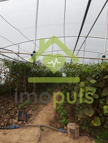 🗺️ Teren intravilan in Jupani (Timis), 10,19 Euro/mp.✨ - 13
