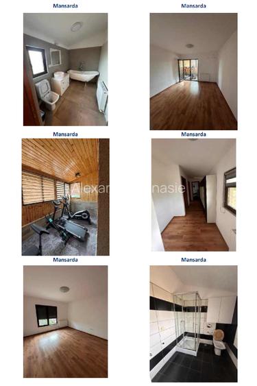 Vila Complex rezidential Spring Ville (Mogosesti, Giurgiu) - 4