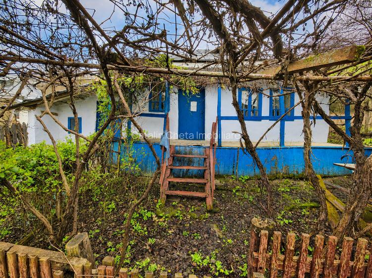Teren de vanzare + casa in Gorghesti, Bacau – 7.391 mp, zona linistita de deal - 3