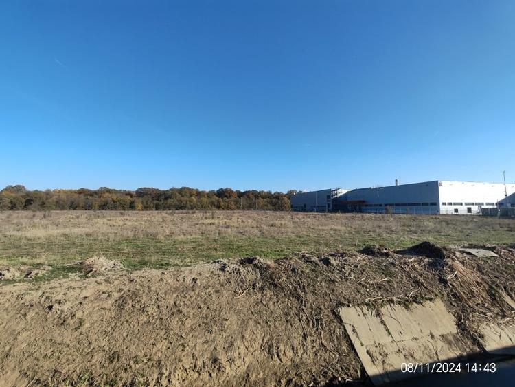 Vanzare Teren 8,9 ha Otopeni - Zona Philip Morris