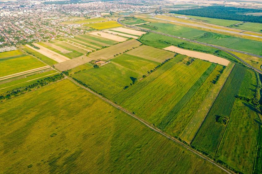 Teren de 50 ha compact în Bujac
