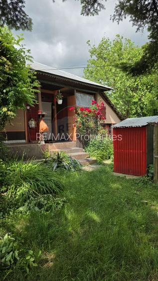 Domeniu rural, gospodarie/multifunctionala cu casa, livada, vie - 23