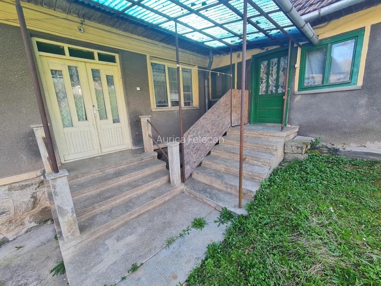 Proprietar vand casa+ teren 13000mp, Steia, Tomesti, jud. Hunedoara, 20km de Bra - 2