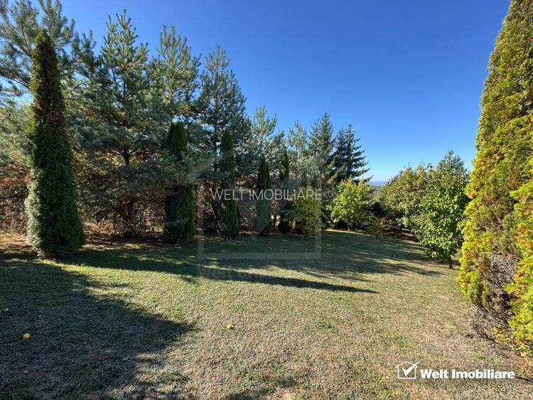 Vila in Faget, zona Vila Tusa, 400 mp, 2412 mp teren