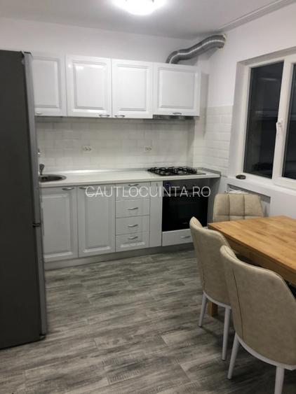 Inchiriere apartament 3 camere | Drumul Taberei | Raul Doamnei - 6