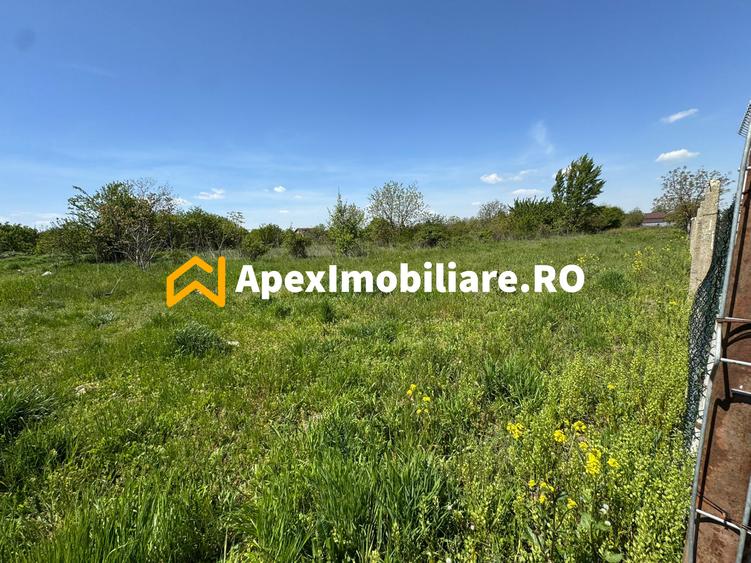 Teren intravilan de vanzare Cornetu IF | ApexImobiliare.ro