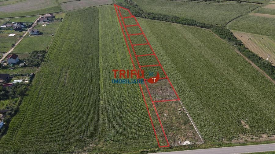 Teren de vanzare in Ighiu 1000 mp