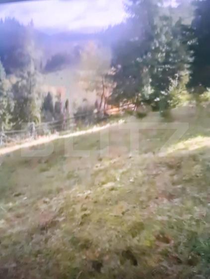 Teren extravilan în comuna Panaci, 15000 mp, oportuintate unica de investitie