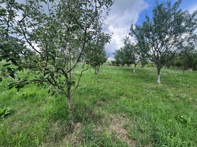 Casǎ spațioasă de vânzare  demisol, parter , etaj  - 8