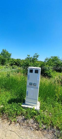 Lot pentru două case – Corbeanca Tamași - 20