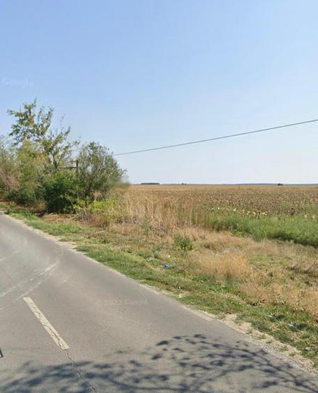 Afumati  Vanzare  teren intravilan/extravilan