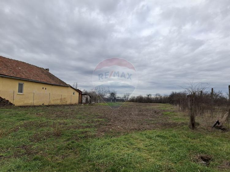 Teren intravilan 1,241mp Frumușeni, Arad