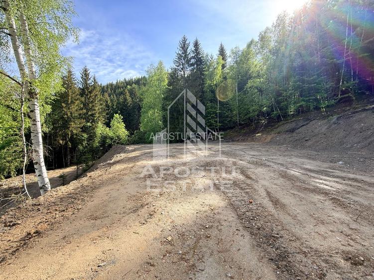 Oportunitate! Domeniu montan, cu lac propriu, oras Lupeni, Hunedoara - 17