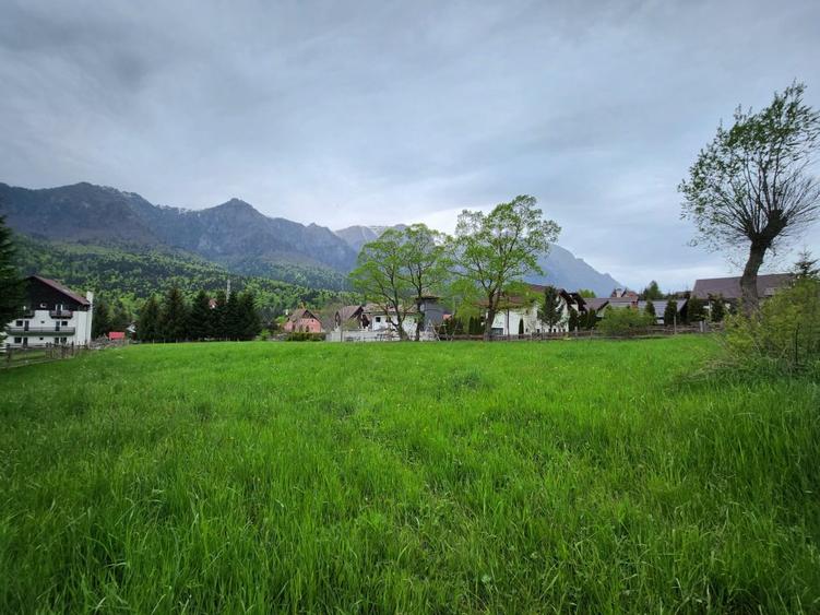 Teren 2.675 mp in Poiana Tapului priveliste peisagistică spre munții Bucegi!