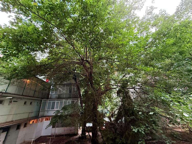 Apartament 2 camere Primaverii 10 min Herastrau
