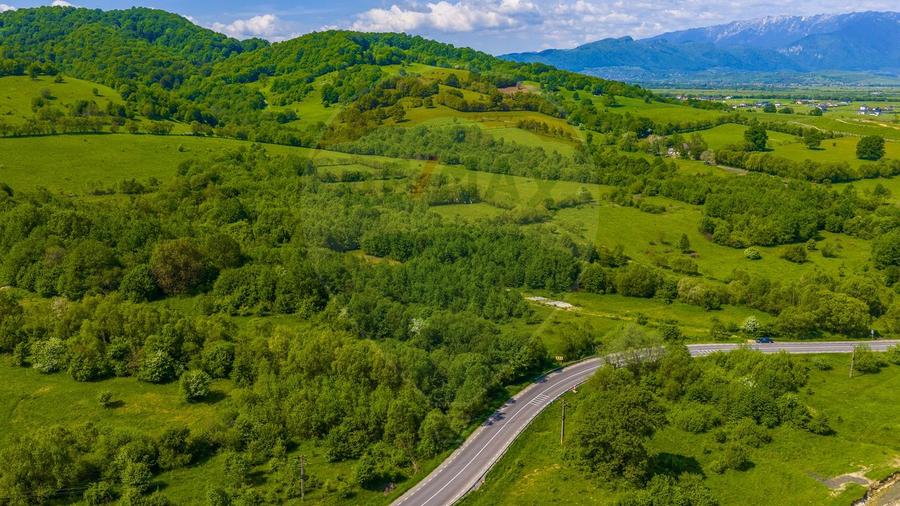 Teren 1ha Valea Glăjeriei - Rasnov | Comision 0%