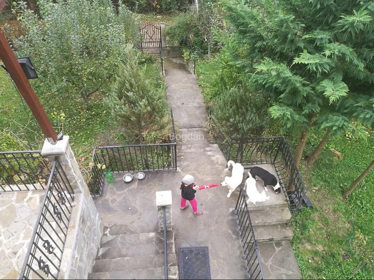Vilă cu livadă, inconjurata de pădure, oază de liniște și relaxare - 8