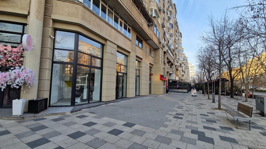 DECEBAL-- Alba Iulia 230 mp -PRET 5.000 EURO