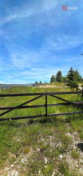 Teren intravilan pretabil constructii de vanzare in Costesti (Albac), Jud. Alba - 11