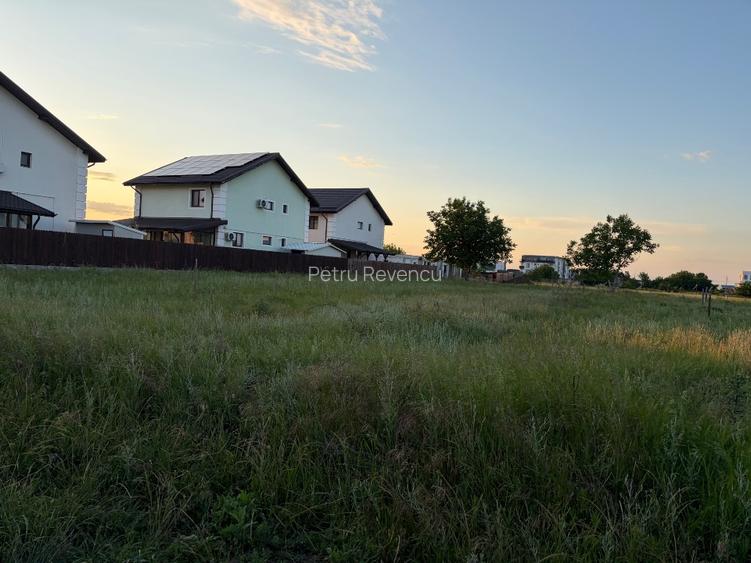 Teren intravilan 1.500 mp de vânzare – Strada Castanului, Tunari - 2