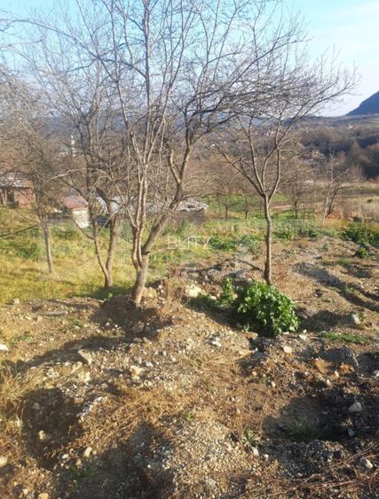 Teren intravilan de vanzare, cu proiect pentru casa - 3