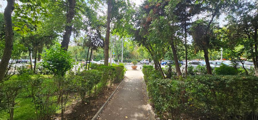 Vanzare 2 camere - Tineretului parc