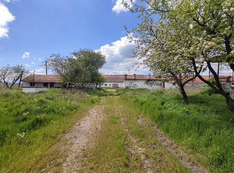 Teren parcelabil, 4,1 Ha, Brașov - Bod. Negociabil! - 9