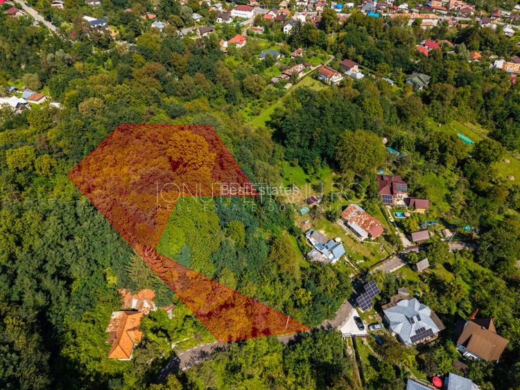 Teren 3.886 mp, Breaza - Podu Vadului, 30 m deschidere la asfalt - 16