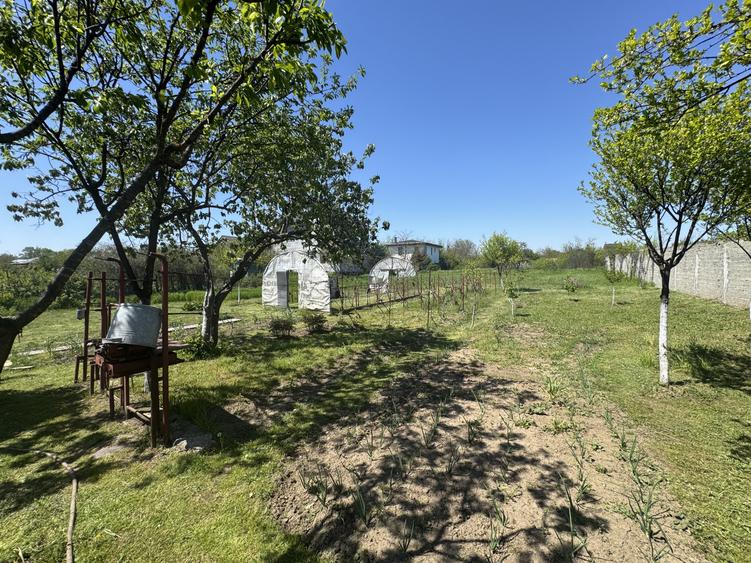 Teren Premium 2775mp Olteni – Utilități complete, la asfalt, potential ridicat