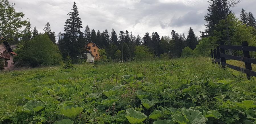 Teren intravilan de vanzare Predeal