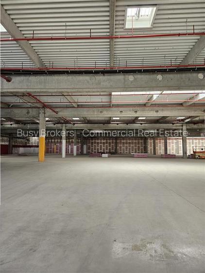 Spatiu Industrial - 7000 mp - Logistica - Productie - Depozitare - Distributie - 9