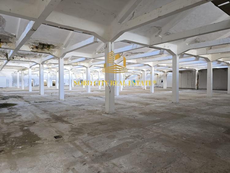 Platforma Industriala-8 ha -Fabrica-Hale Productie-21.500 mp - 12