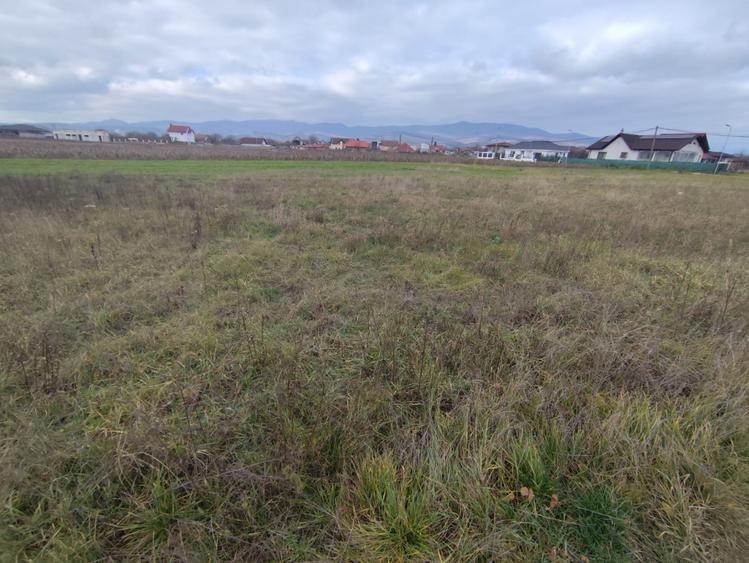 Teren Intravilan 601 mp| toate utilitățile | zona Partos