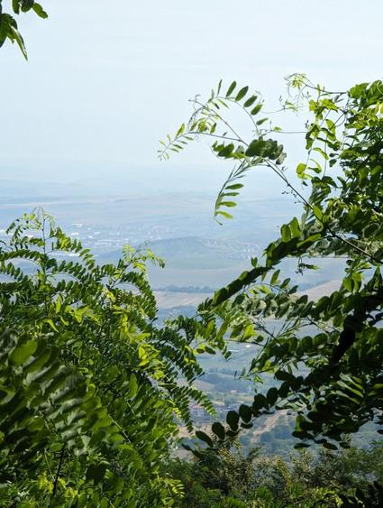 Teren unic - 2.200 mp, panoramă Cluj, intravilan, în curs de autorizare!