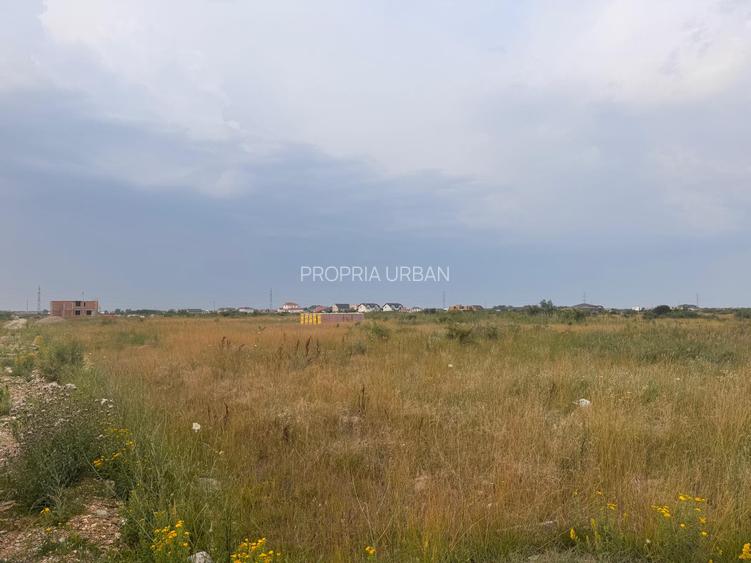 PARCELE DE VÂNZARE – MOȘNIȚA NOUĂ (în spatele Castelului)-Timisoara - 2