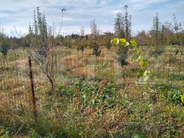 Teren intravilan de vanzare, 1400 mp, zona Bercu Rosu - 3