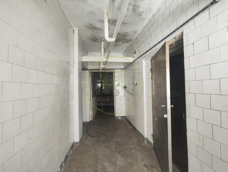 Spatiu comercial 9 camere, casa 2 camere, teren 354 mp, Brestei.