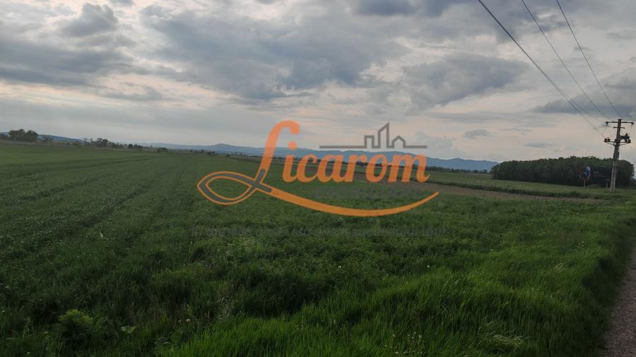 Teren Stupini Calea Feldioarei 4600 mp,front asfalt-DN13