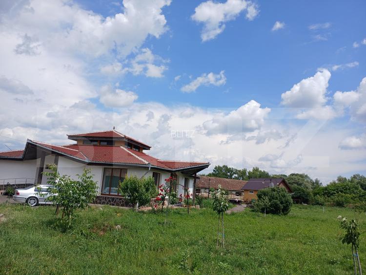 Casa superba in Tinca, 225 mp, 20 ari luciu de apa, teren fotbal, spatii verzi - 9