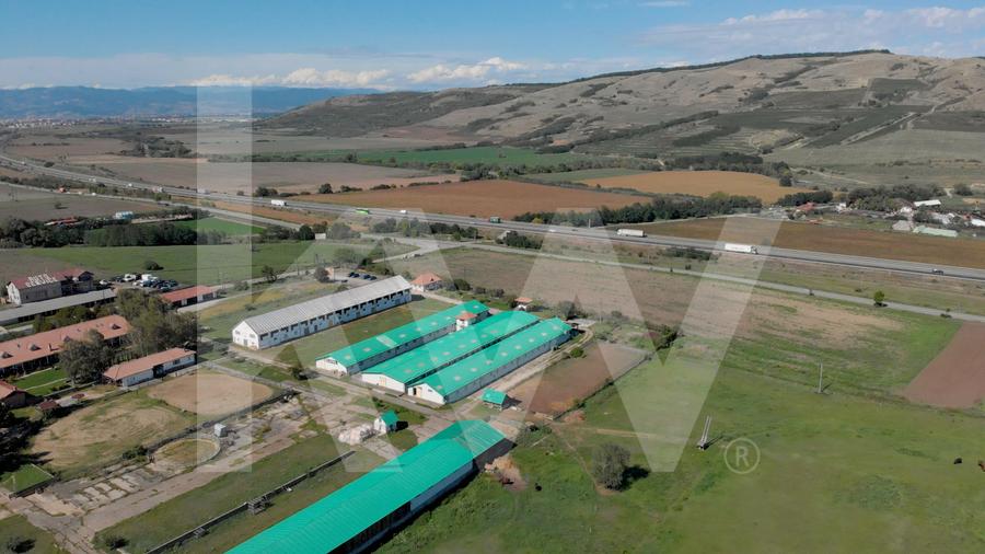 Proprietate industrială cu hale moderne, teren generos și acces Autostrada A1