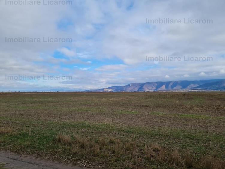Teren extravilan 2,9 HA,intre Cristian si Vulcan
