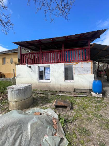 Locuinta in Ticu-Colonie (Casa de vacanta la un pret corect!) - 10