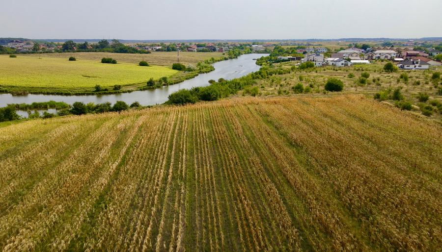 Oportunitate Investitie Teren 5.4HA Deschidere la Lac, Padure, Paradisul Verde
