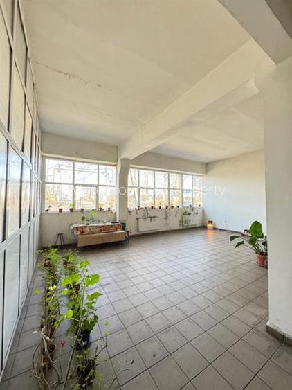 Vaslui aproape de Iasi, hale si birouri, inchiriere lunga durata - 25